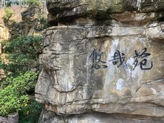 -老幺泉水鸡
