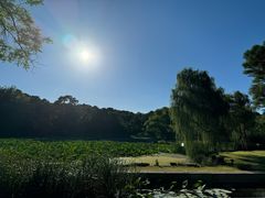-承德避暑山庄景区