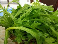 -新乡杨记红焖羊肉火锅(天坛南门店)