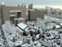 -中央民族大学
