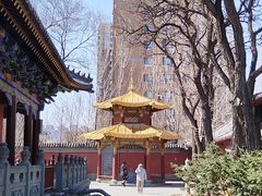 -护国法轮寺