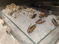 -厨艺海鲜自助餐厅•越秀宾馆希尔顿格芮精选酒店