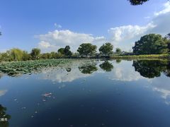 -无锡蠡湖国家湿地公园-蠡园