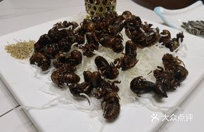 Fried Cicada Nymphs