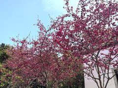 -乌山风景区