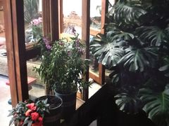 -兰纳泰式spa(古城店)