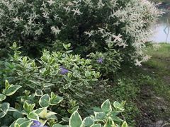 -白塘生态植物园