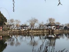 -无锡蠡湖国家湿地公园-蠡园