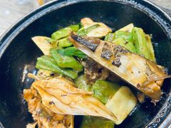 -港升鱼师傅·中山脆肉鲩