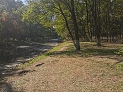 -长白岛森林公园