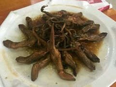 -鸭味飞飞