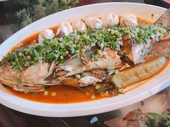 铁锅炖胖头-东北大院·东北菜(三台子店)