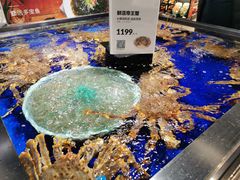 -盒马鲜生(新都心店)