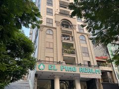 -胡志明市美术馆