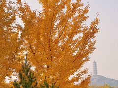 -北坞公园