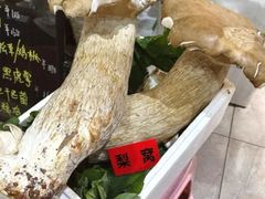 -原林野山菌火锅·炒菌(关上野生菌一条街店)