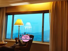 -南京维景国际大酒店(南京博物院店)