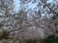 -北宫国家森林公园