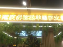 -旧县羊蝎子(旧县店)