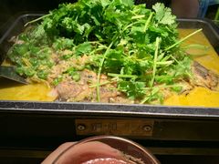 海鲈鱼-炉鱼(诸暨万风新天地店)