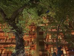 -大佛古寺