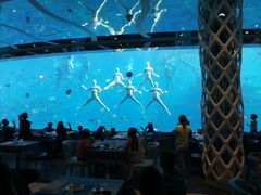 -瑞德姆美人鱼海底演艺主题餐厅(亚龙湾店)