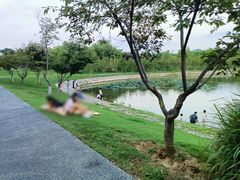 -羊山湖公园