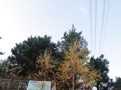 -秦岭风景区