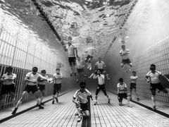 -重庆市奥林匹克体育中心-游泳跳水馆