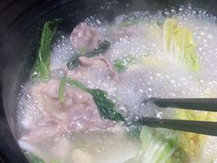 -春润大地海南椰子鸡(沙井京基百纳广场店)