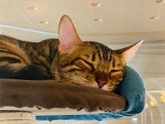 -Me Coffee下午茶艺术空间