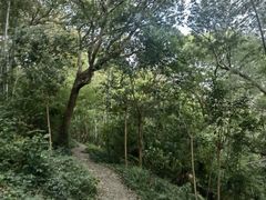 -上海佘山国家森林公园西佘山园