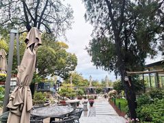 -蘇河湾·新鲁菜·泰山宴(泰山店)