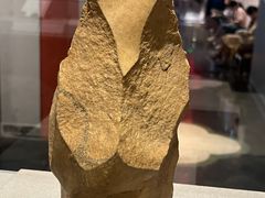 -北京大学赛克勒考古与艺术博物馆