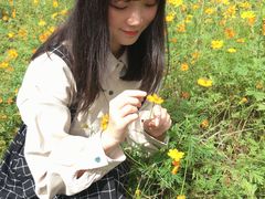 -紫颐香薰山谷景区