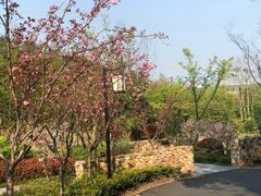 -天目湖涵田半山温泉