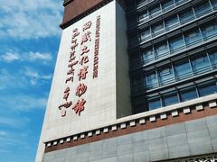-西藏文化博物馆