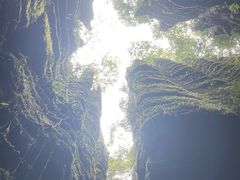 -梭布垭石林景区