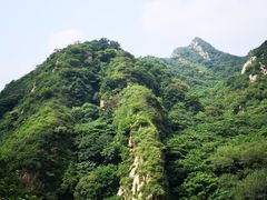-大岭沟猕猴桃谷风景区