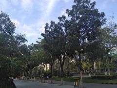 -映月湖公园