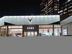 -北汽鹏龙ARCFOX极狐(国贸店)