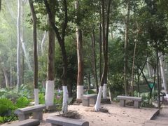 -火炉山森林公园
