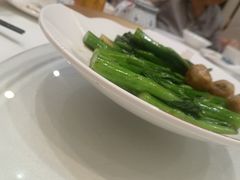 -顺德渔村·岭南一号