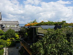 -喜林苑·稻田餐厅(品相府店)