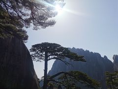 -黄山风景区
