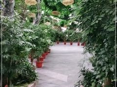-滕头生态酒店(奉化店)