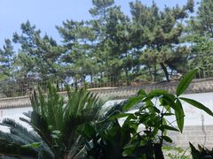 -宾朋海鲜特色美食餐厅·纯手工鲅鱼水饺(兴海路店)