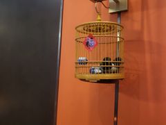 -了凡国风主题茶馆·咖啡(武侯祠锦里店)