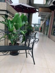 -BOJUE·铂爵造型烫发·染发