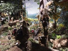 -陕西自然博物馆